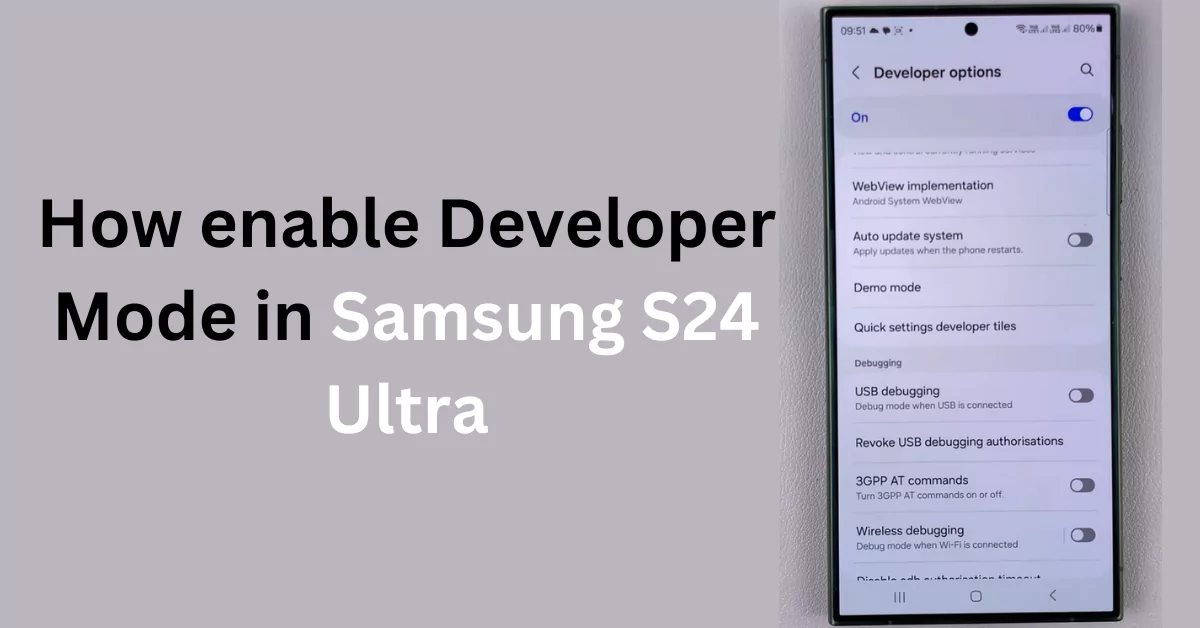 how enable developer mode in samsung s24 ultra